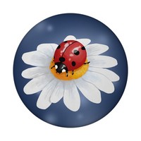 MarienkäFer GlüCksbringer Magnet Rund Mit FlaschenöFfner Rund
