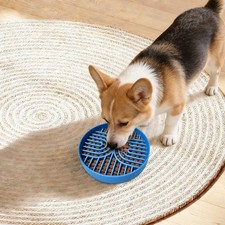 Slow Feeder Dog Bowls Blue Slow Eating Dog Bowl Slow Feeder Bowl for Puppies