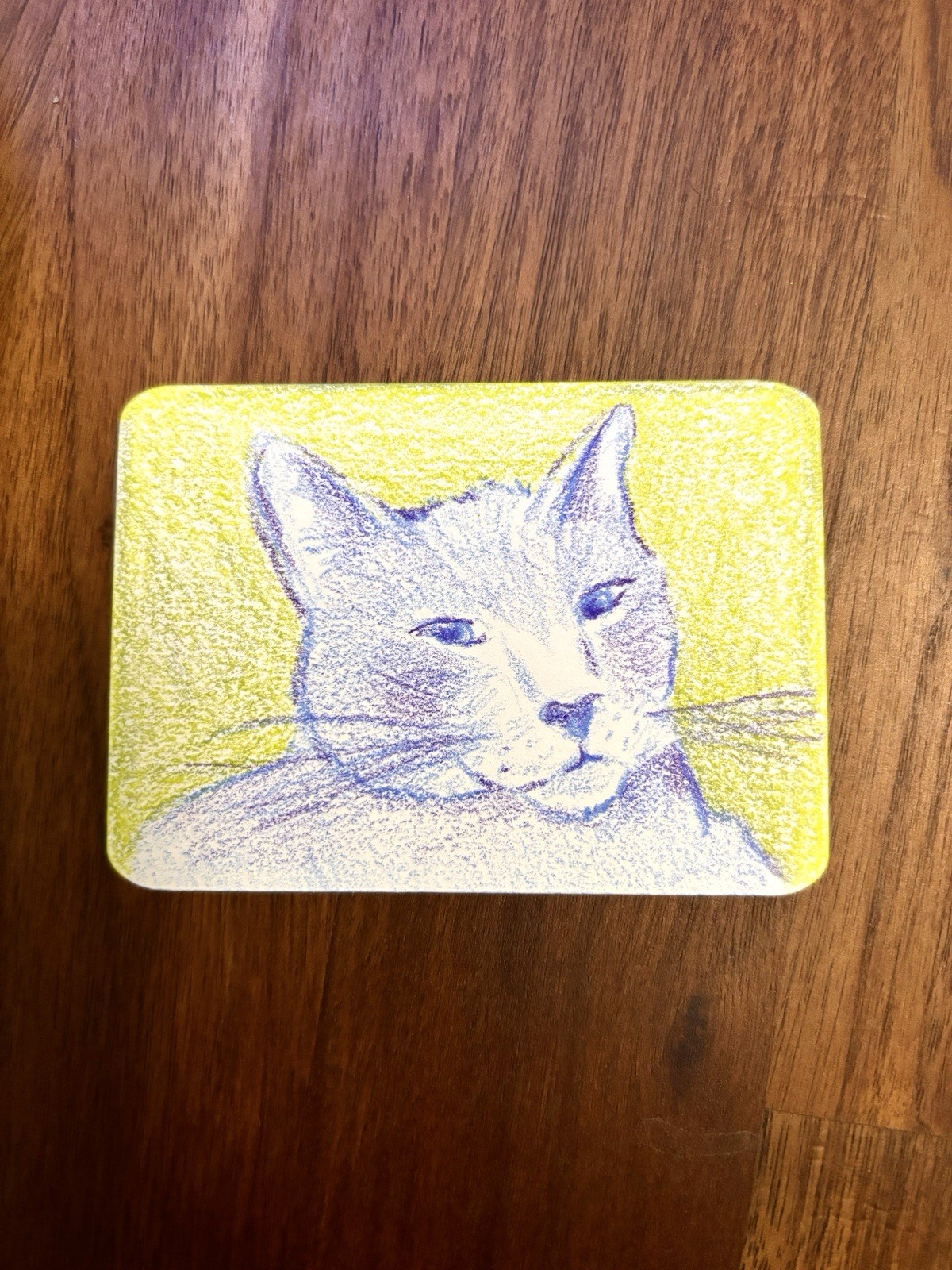 Colorful Cat ACEO Art Card Handmade Signed Original Drawing
