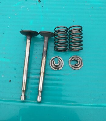 #ad #ad Vintage Briggs amp; Stratton Model 128M020014 f1 Engine Parts Intake Exhaust Valve $17.99