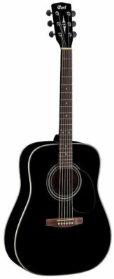 CORT Earth 70 BS2 Dreadnought Akustik-Gitarre