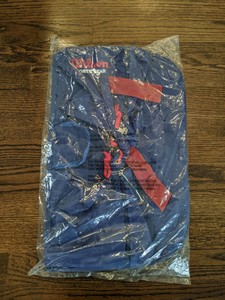 luggage charges in domestic flight