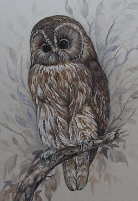 TAWNY EULE - gerahmtes Aquarellgemälde von Andrew Alexander