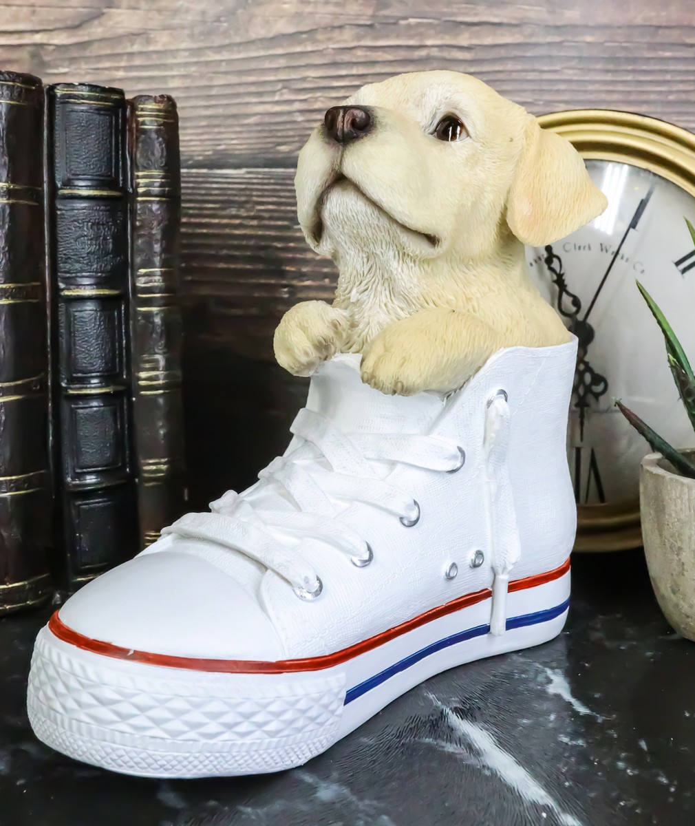 Paw-Star Pups Lifelike Yellow Labrador Puppy Dog in Sneaker Chucks Shoe  Statue
