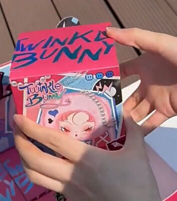 DODO NAMI Twinkle Bunny Series Vinyl Plush Pendant Blind Box