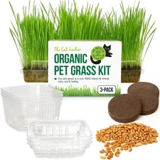 Cat Grass for Indoor Cats - Growing Kit - Organic Cat Grass Seeds, Soil and B...