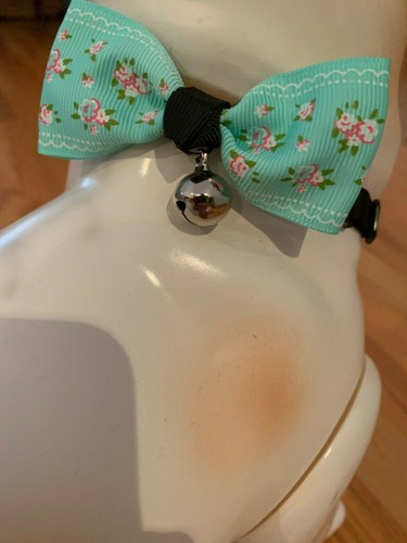 Blue Floral Design Bow Tie Collar with Bell for Cats or Small Dog Blue Or Pink - Imagen 14 de 26