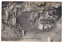 MIDWAY ENTRANCE AVENUE Caverns of Luray Black & White Virginia Postcard VA 14