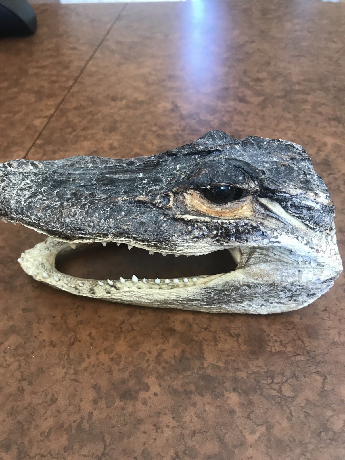 Picture 3 of 5