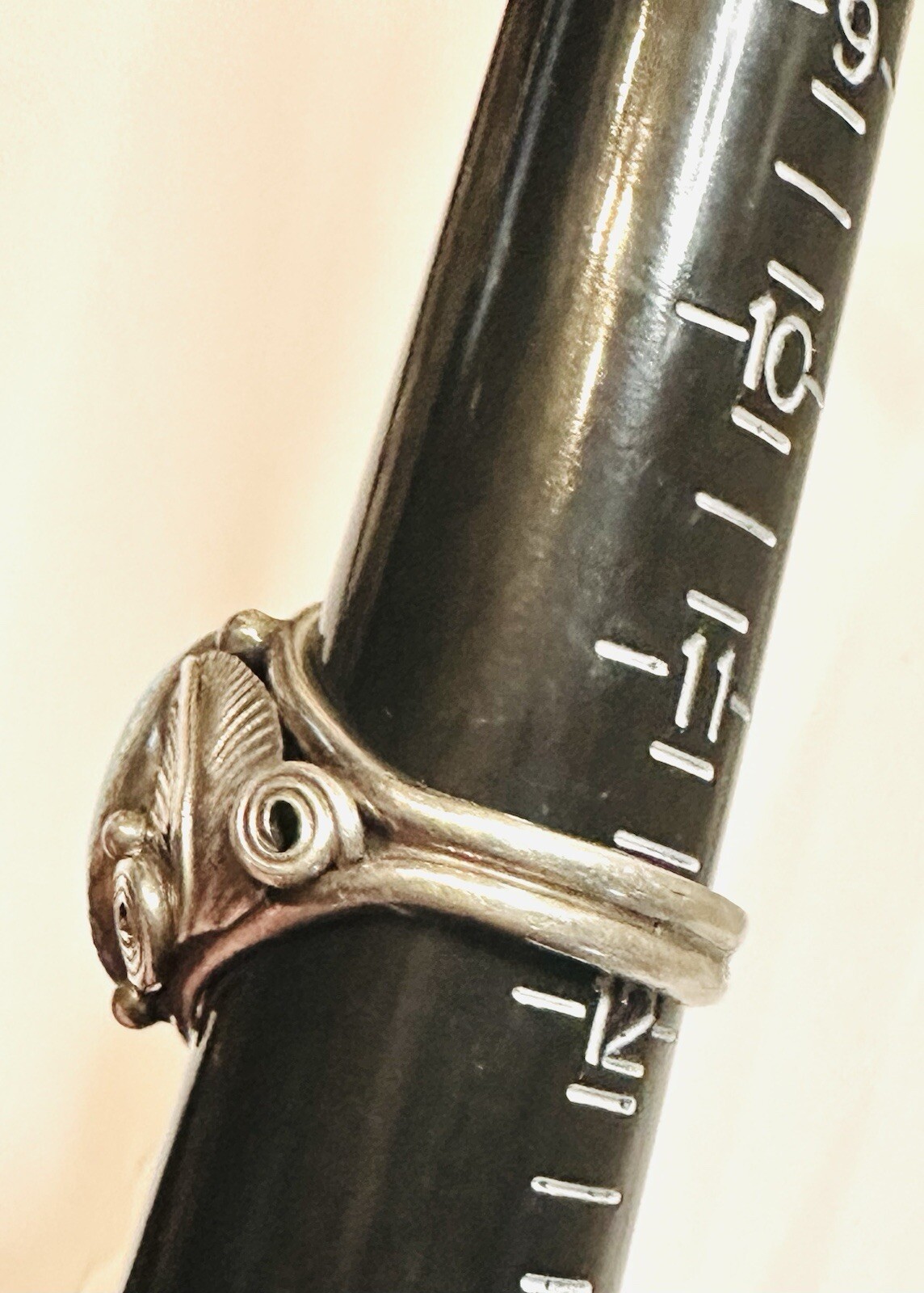 Picture 6 of 8