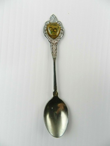 Cuchara Septiembre Aster Flores 4 1/2" Tono Plata Japón Vintage Souvenir - Imagen 1 de 3