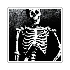 Skeleton Skull Sticker Halloween Horror 2x2, 3x3, 4x4, 6x6 Transparent, White