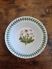 PORTMEIRION Botanic Garden Rimmed Cereal Bowl 6.5" BELLIS PERENNIS Daisy
