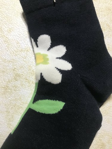 NWT gymboree wish you were here socks 8 up daisies daisy spring easter passover - Picture 2 of 3