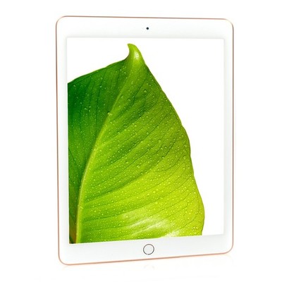 ゴールド iPad 本体 A1822 第五世代 128GB wifiモデル
