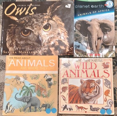 LOT OF 4 children's books about WILD ANIMALS