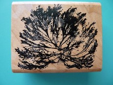 Landscape Shrub Plant Rubber Stamp