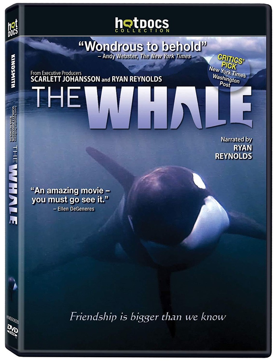 The Whale DVD FREE SHIPPING 881751506283|