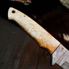 8.8" Camping Bush craft Damascus Knife Handmade Full Tang Resin Handle +Sheath — photo 10