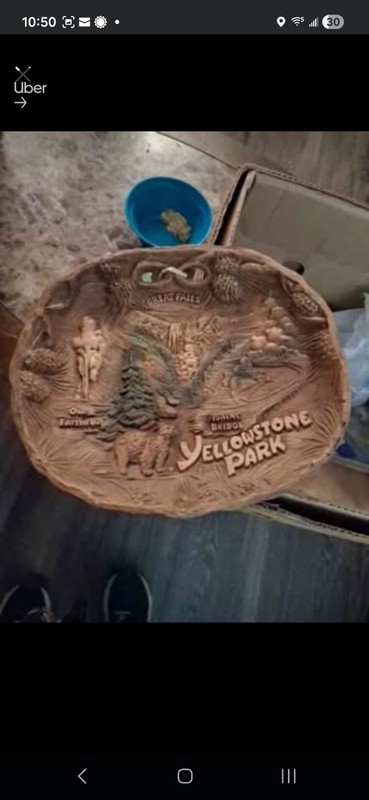 Yellowstone National Park Souvenir 3D Faux Wood 12" Bowl Plate Old Faithful Taco