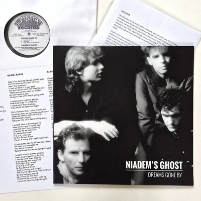 NIADEM'S GHOST lathe cut mini lp MANCHESTER SCENE SOUND  (IQ peter Nichols )