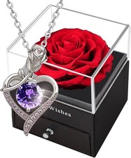 COOCER Preserved Rose Box with Crystal Heart Necklace -Real Red Eternal Rose wit