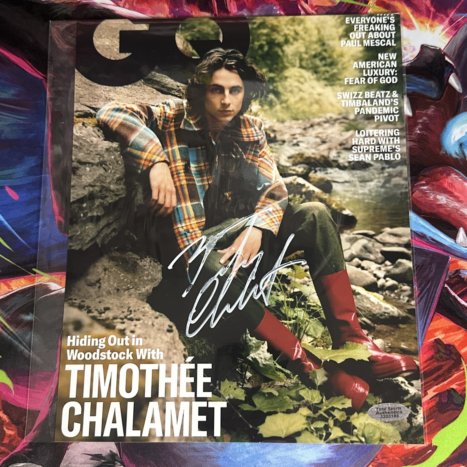 Timothee Chalamet - Signed 8x10 Photo - With COA - “GQ”