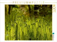 Calvendo Puzzle Farngesellschaft 1000 Teile Puzzle Quer | 1000 Teile Lege-GrößE