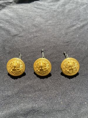 Hillborn-Hamburger The Viking NY Eagle Pattern Buttons- 3- 23mm  Buttons