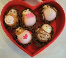 2025 Target Spritz Valentine s Day Featherly Friends Chocolate Box 5 MINI Birds