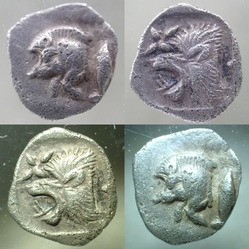 🔥 c.5th Century BC MYSIA, CYZICUS AR Hemiobal (Boar/Lion) NGC Ch VF (5/5 : 3/5)