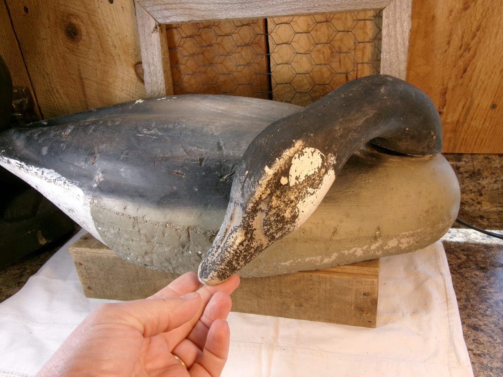 Vintage Decoys Unlimited Clinton Iowa Foam Body Goose Decoy eBay