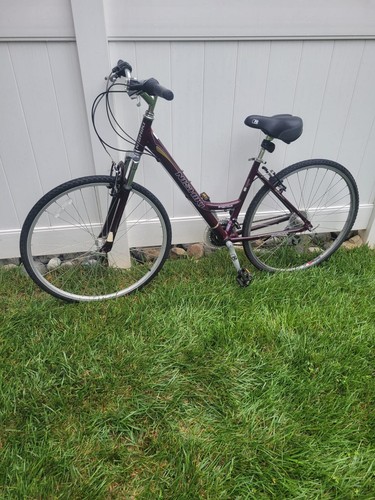 Nishiki Women's Evolution Comfort Bike 