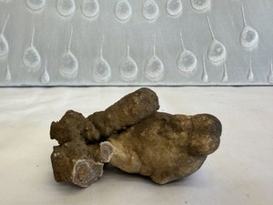 Unknown Ancient Rock