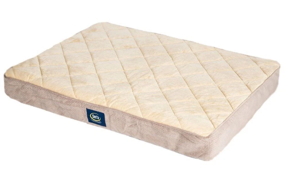 Ortho Quilted Pillow Top Pet Dog Bed Large Tan