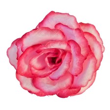 30 Pink Hot Pink Silk Rose Heads 3" Artificial Flowers Stemless Floral Craft Lot