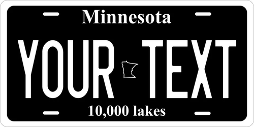 Any State Any Text 250 Custom License Plate Personalized US Canada Mexico - Picture 128 of 250