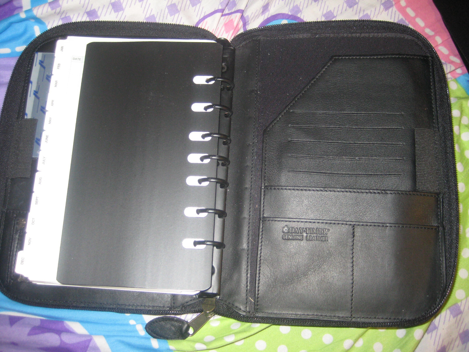 Picture 3 of 3
