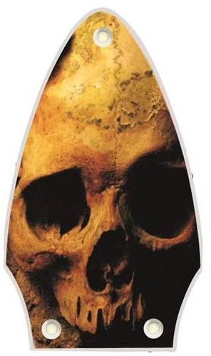 Truss Rod Cover Graphic compatible with Gibson Flying V Guitar Ancient Skulls