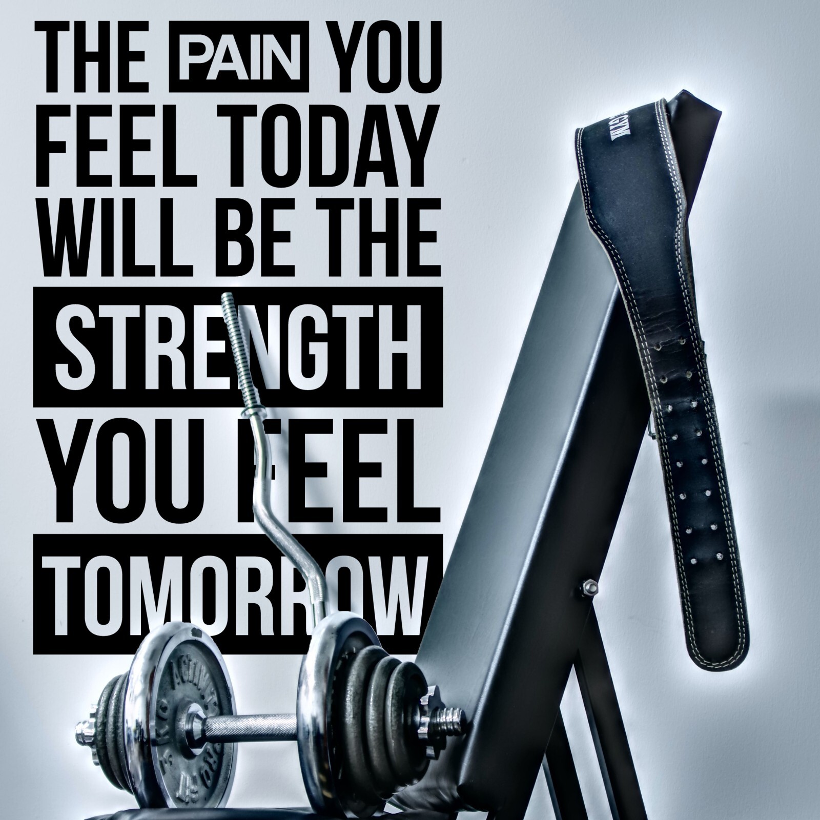 The Pain You Feel Motivational Wall Decal Sticker Quote for Home Gym Fitness