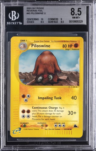 Piloswine graded BGS 8.5 for sale on eBay