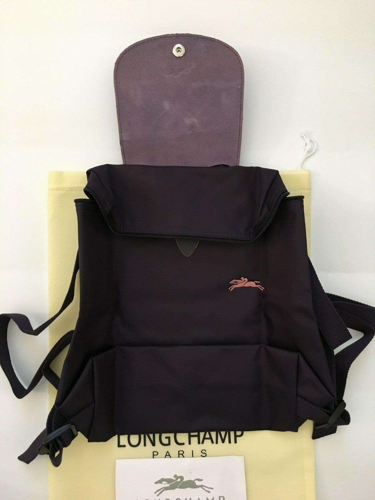 longchamp bilberry backpack