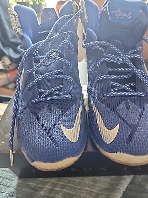 lebron cowboys shoes