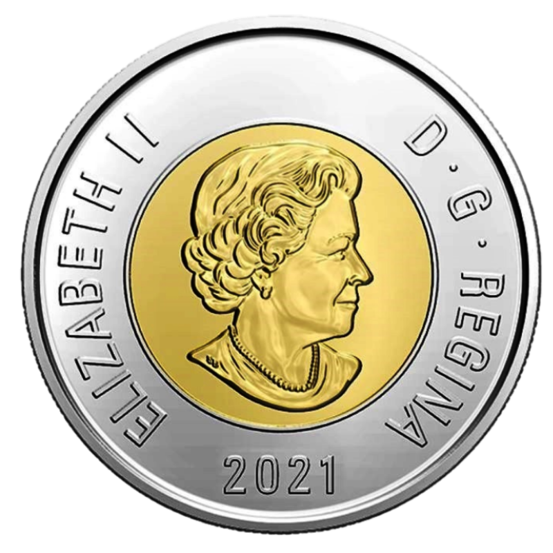 🇨🇦 Canada $2 Dollars Coin Toonie, Polar Bear, Bi-Metallic