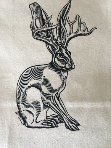 NEW 12 18 months Jackalope ORGANIC COTTON TEXAS Baby BODYSUIT BUNNY