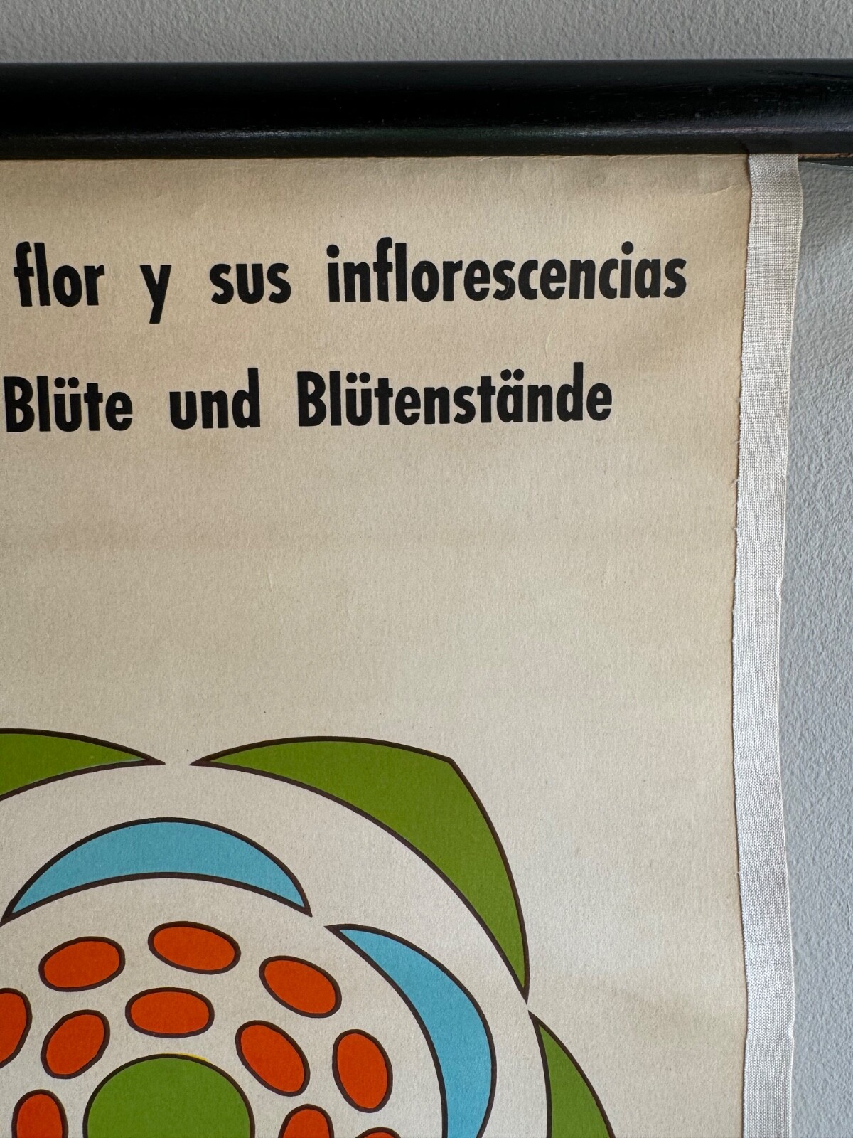 Imagen 14 de 19