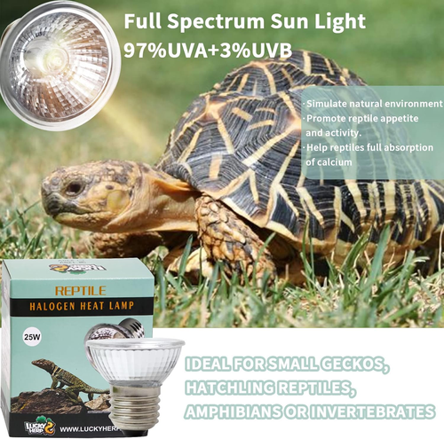 4 Pack 50W UVA UVB Reptile Light Bulbs, Heat Lamp Bulbs for Reptiles - Picture 4 of 6