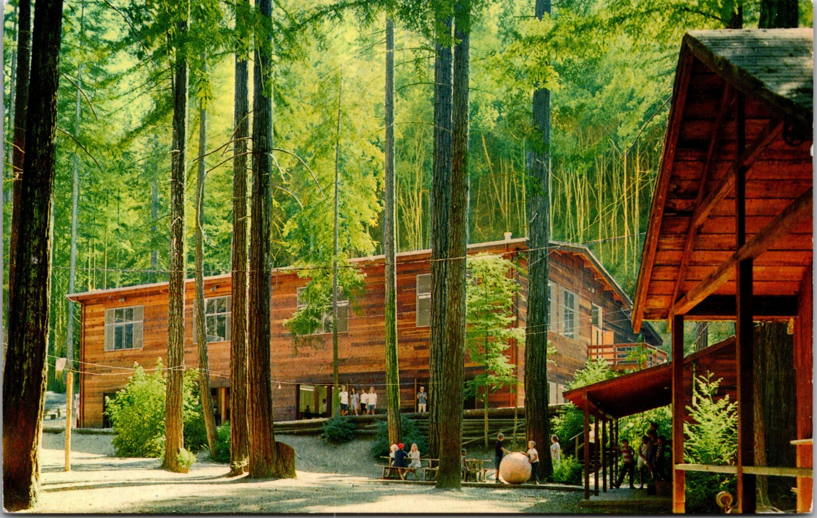 Camp Meeker California CA Alliance Redwoods Christian Camp Postcard L55