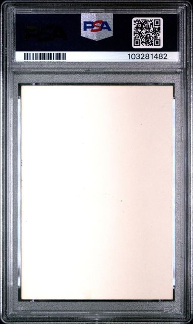 Foto 2 di 2