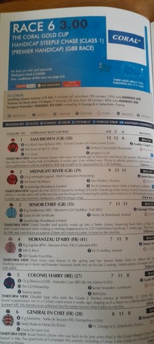 NEWBURY RACE CARDS, NOVEMBER 29TH & 30TH, 2024 - THE CORAL GOLD CUP MEETING - Picture 14 of 24